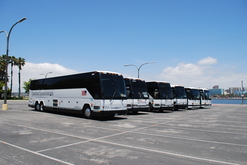 Multiple buses parked next to the ocean